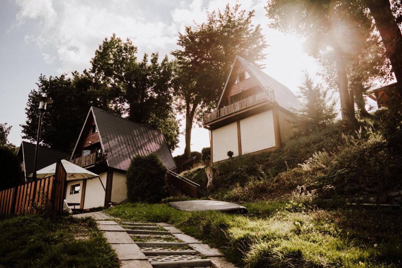 Domki Lord Villa Miedzybrodzie Bialskie Exterior photo